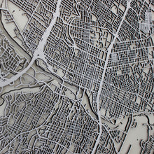 Lade das Bild in den Galerie-Viewer, Austin Street Carving Map (Sold Out) (1745307598899)
