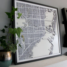 Load image into Gallery viewer, Miami Street Carving Map (Sold Out) (1819826421811)
