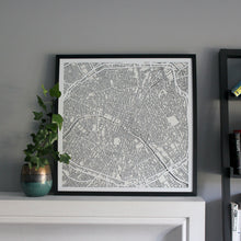 Lade das Bild in den Galerie-Viewer, Paris Street Carving Map
